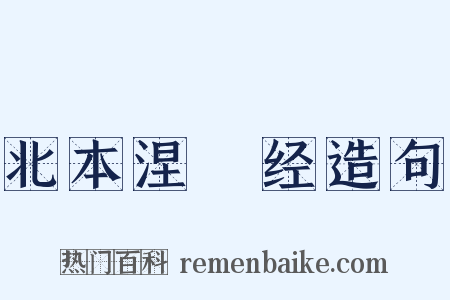 北本涅槃经造句是什么意思的图片